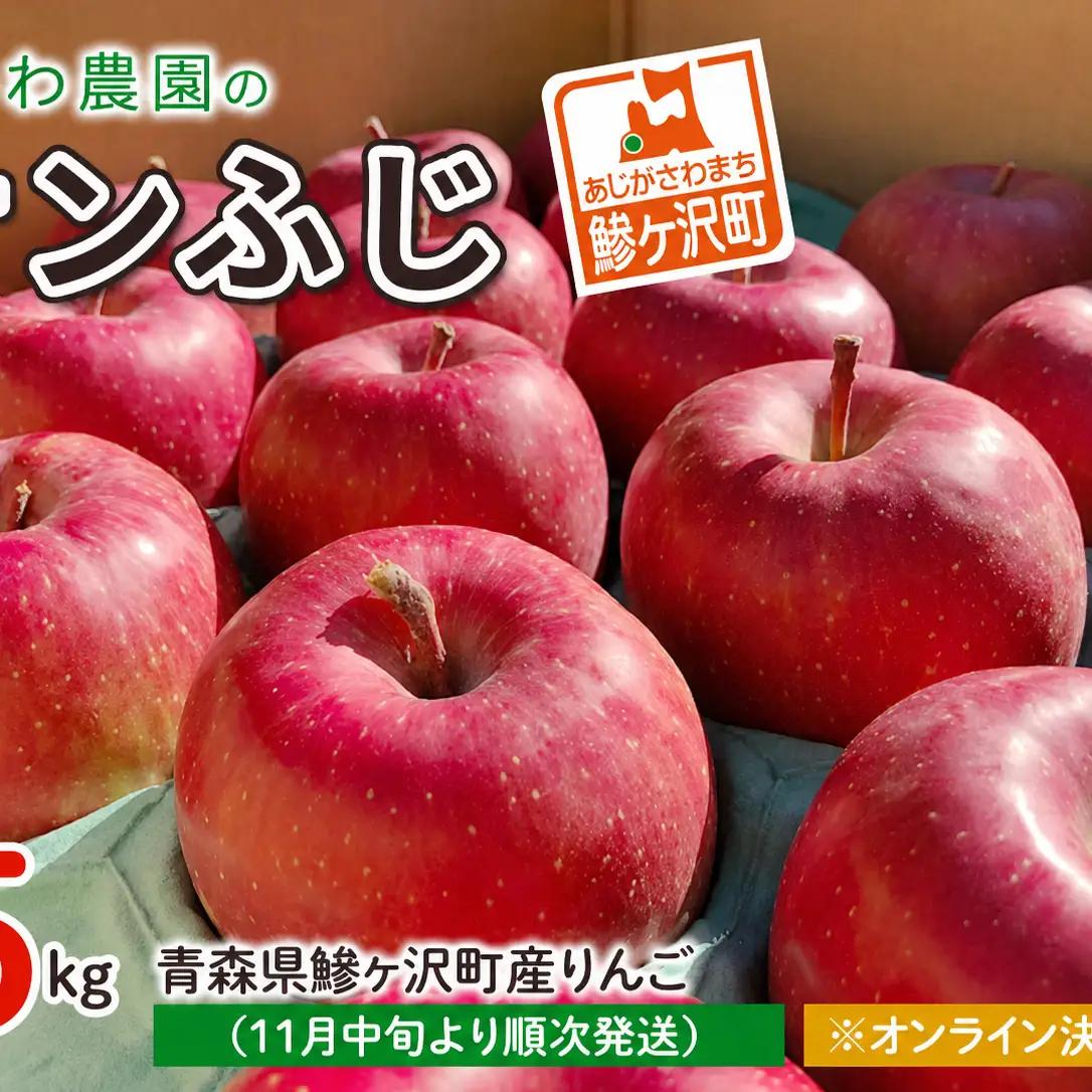 りんご 青森 サンふじ リンゴ 約 5kg （18～20玉） 青森県 鰺ヶ沢町産 たわわ農園 フルーツ 果物 果物類 林檎 サンフジ 青森産 ふじ 2023 ※2023年11月中旬より順次発送 ※オンライン決済限定 