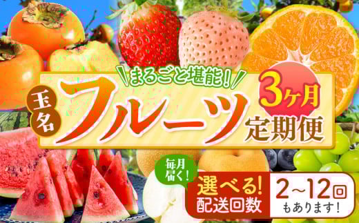 【 定期便 3回 】 まるごと 堪能 ！ 人気 フルーツ |（ いちご 白いちご みかん 不知火 デコポン スイカ メロン ぶどう シャインマスカット 梨 柿 果物 ） フルーツ定期 フルーツ定期便 果物定期便 果物定期 定期便 フルーツ 果物