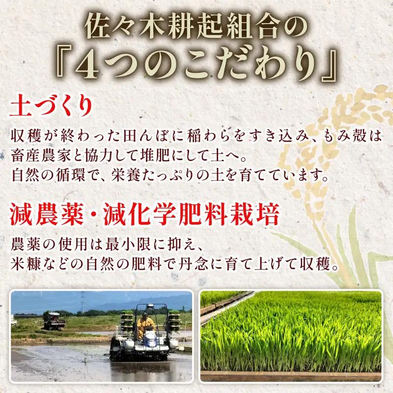 【新米 定期便】 4kg × 6ヶ月 令和8年産 新潟県産 特別栽培米コシヒカリ 米 お米 ごはん 白米 コシヒカリ 佐々木耕起組合 プレゼント ギフト 贈答 定期便 特別栽培米 佐々木耕起 佐々木こ