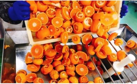 【2026年2月中旬から順次発送】家庭用 せとか5kg と 柑橘加工品セット | 愛媛 みかん 先行予約 蜜柑 柑橘 果物 くだもの フルーツ お取り寄せ グルメ 期間限定 数量限定 人気 おすすめ 