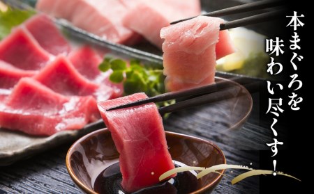 本まぐろ 中トロ 約500g・赤身 約600gセット | 津久見市