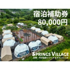 SPRINGS VILLAGE 足柄丹沢温泉リゾート&グランピング 宿泊補助券 80,000円