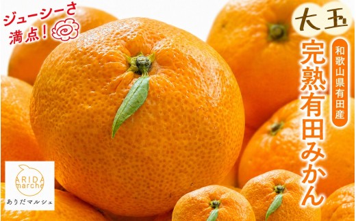 
                  【果汁たっぷり】迫力満点！ 大粒 完熟有田みかん 家庭用 サイズ混合(2L～4L)　約5.2kg(5kg+200g)【2026年11月中旬～1月中旬頃に順次発送予定】【ard225A】
                