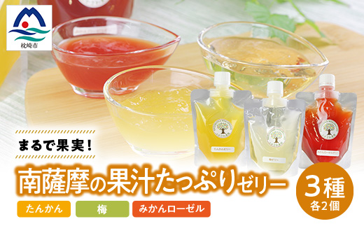 まるで果実!!南薩摩の果汁たっぷりゼリー6個箱入り Z0-59_ 手づくり たんかんゼリー たんかん 梅ゼリー 梅 みかん ローゼルゼリー 柑橘【1697727】