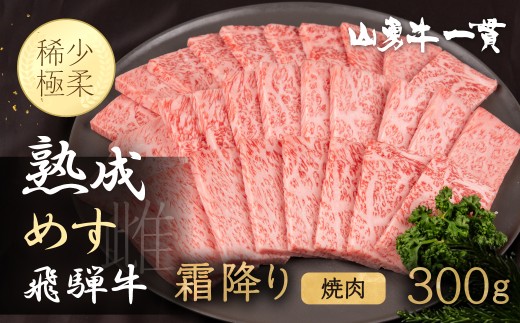 「山勇牛」焼肉用 霜降り 300g 牛肉 和牛 飛騨牛 肉 稀少部位 焼き肉 冷凍 飛騨市 高評価 赤身牛肉 赤身 熟成