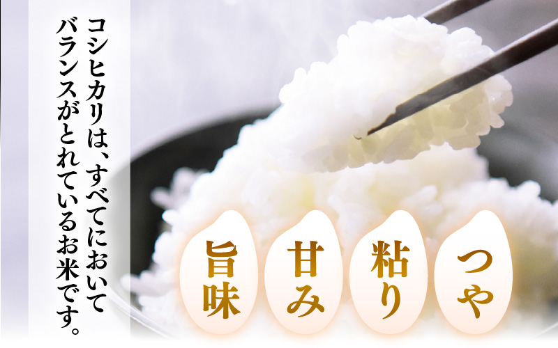 【先行予約】【令和8年産】【定期便3回】≪3ヶ月連続お届け≫  化学肥料不使用 特別栽培米 コシヒカリ 精米 10kg × 3回（合計30kg）※2026年10月上旬より順次発送予定 [aw010-f