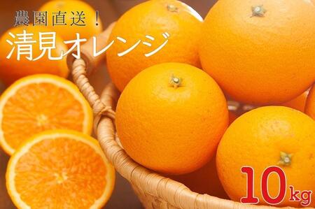 清見オレンジ 約10kg 大小混合 《ご家庭用》 ちょっと訳あり 和歌山県産 農園直送 まごころ産直みかん 【北海道・沖縄県・一部離島 配送不可】訳アリ わけあり みかん きよみ 清見タンゴール 清美