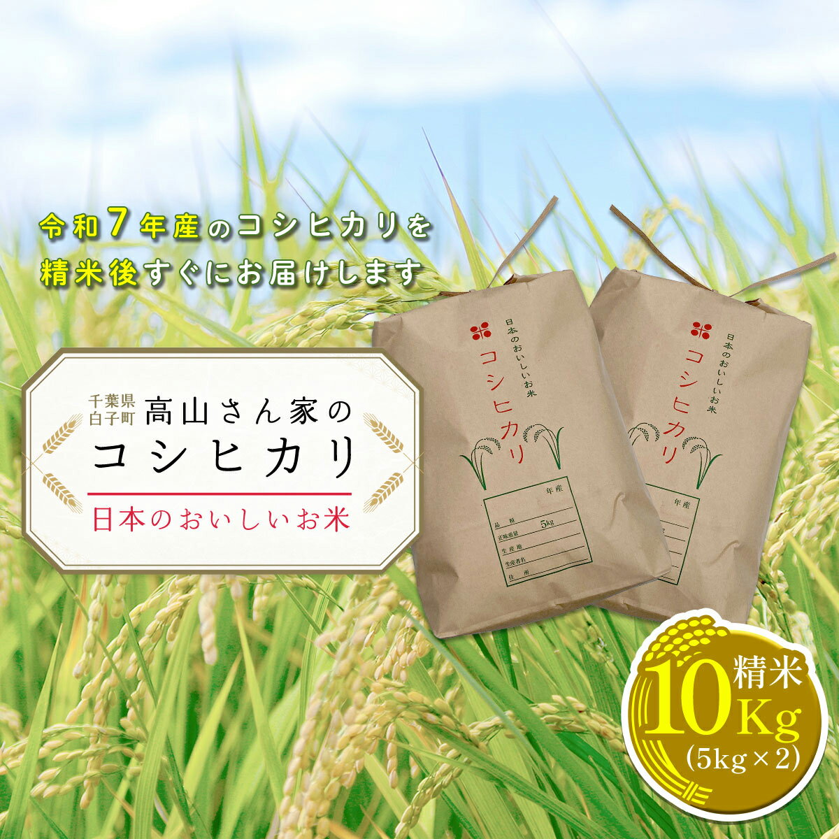 【ふるさと納税】令和7年産＜高山さん家のお米＞千葉県産コシヒカリ＜精米＞10kg(5kg×2) ふるさと納税 お米 10kg 千葉県産 白子町 コシヒカリ 米 精米 こめ 年越し おせち お餅 新年 お雑煮 送料無料 SHH002