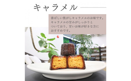 【星が丘カヌレ アソートセット10個入り　5種のフレーバー】フランスの焼き菓子 スイーツ 美味しい おすすめ 冷凍 愛知県 人気 高級