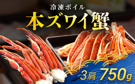 冷凍ボイル本ズワイ蟹　3肩（750ｇ） TMN001 / ずわいがに ずわいガニ ズワイガニ ズワイ蟹 本ズワイ蟹 本ずわいがに 本ズワイガニ 本ズワイ蟹 蟹 かに カニ 冷凍ボイル本ズワイ蟹 冷凍ボイル 冷凍ずわいがに 冷凍ズワイガニ 冷凍ズワイ蟹 冷凍本ズワイ蟹 冷凍本ずわいがに 冷凍本ズワイガニ 冷凍本ズワイ蟹 冷凍蟹 冷凍かに 冷凍カニ 肩 ずわい ズワイ スクーナー