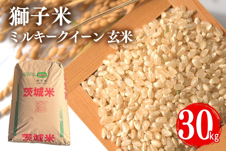 
                  先行予約【令和8年産】獅子米 ミルキークイーン（玄米）30kg お米 ご飯 米 産地直送 茨城県 石岡市 B02-092
                
