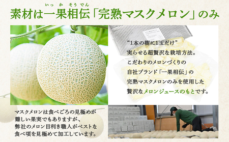 【3回定期便】メロンジュースのもと 約800ｇ 約165g×5パック 【 カットメロン カットメロン カットメロン カットメロン カットメロン 】 Wtn-0034