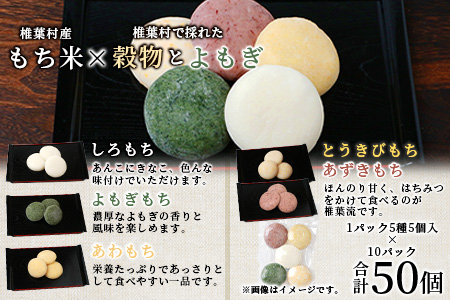 焼畑農家がつくった5種のお餅バラエティセットB(白もち よもぎもち とうきびもち あずきもち あわもち)【日本三大秘境の地「椎葉村」からお届け】