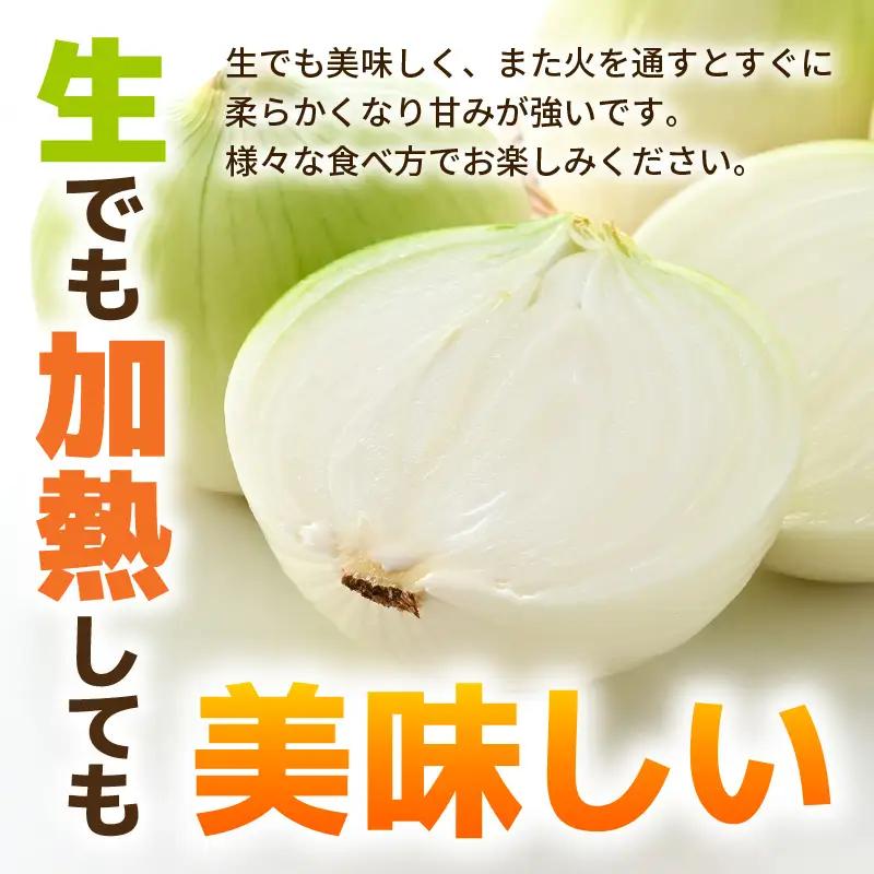 【先行予約】採れたて 新玉ねぎ 10kg（サイズ S M L ミックス）田んぼで育てた甘くて柔らか自慢の玉ねぎ！／ 常備 野菜 玉葱 たまねぎ ※2027年6月以降順次発送予定 [aw056-a020