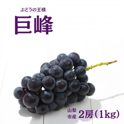 【2026年発送】産地直送 山梨市産 巨峰2房【配送不可地域：離島】