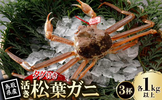 【先行予約】鳥取県産 タグ付き 活松葉がに 1kg以上×3杯(中村商店)26年12月・27年1月発送【配送不可地域：離島・北海道・沖縄県・東北・信越、北陸】