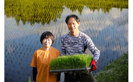 【令和8年産 新米 先行予約】【6ヶ月定期便】 魚沼産コシヒカリ 10kg(5kg×2袋) 九左衛門の米 農家直送 | 白米 精米 ブランド米 こしひかり お米 おこめ こめ コメ おすすめ 人気 ギ