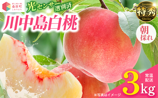 
                  もも【川中島白桃・2027年産先行予約】特秀　3kg　桑折町産　JAふくしま未来　桃 ／ もも モモ 果物 フルーツ 旬 甘い 甘み ジューシー 果肉 果汁 新鮮 フレッシュ デザート おいしい 産地直送 桑折 こおり こおりまち 福島県 特産品 献上桃の郷 【07301-0098】
                