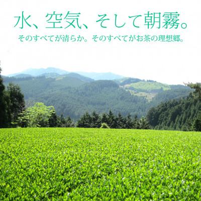 ふるさと納税 筑前町 奥八女星野村 深蒸し高級煎茶(深蒸し茶)100g×2袋(筑前町) |  | 01