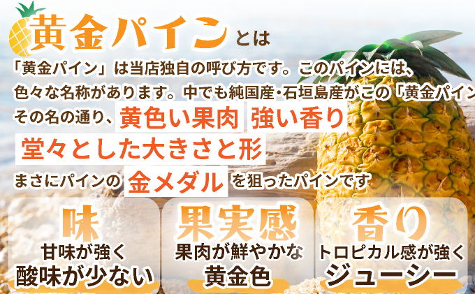 【先行予約】《2025年夏季 順次発送》黄金パイン大玉6個入 計9.0kg　SI-53