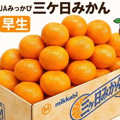 三ケ日みかん 早生【秀品】Mサイズ4kg(36個前後) ミカン 果物 くだもの フルーツ 甘い 静岡県 浜松市 果物類 柑橘類 
