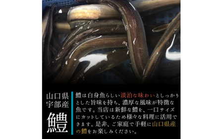 【宇部産】鱧 ハモ 400g【一口サイズ】 ハモ ハモ