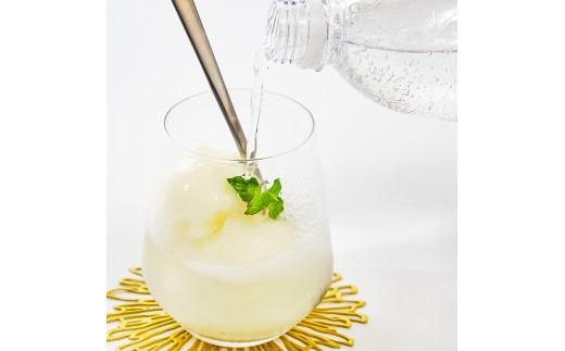 文旦アイス 6個入り 1個110ml ブンタン ぶんたん フルーツ 果物 柑橘 みかん お菓子 おかし おやつ デザート スイーツ ギフト おいしい 爽やか シャーベット【有限会社戸田商行】 [BQC