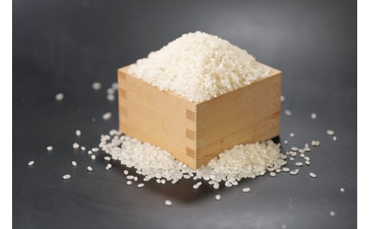 特別栽培米　丹波コシヒカリ　3kg