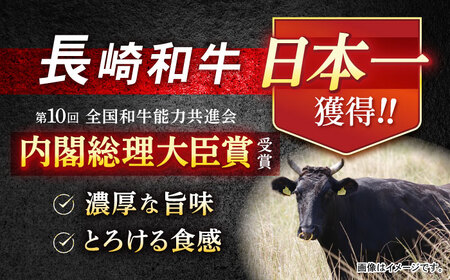 長崎和牛サーロインステーキ 約250g×2枚 / 牛肉 和牛 国産牛 肉 ステーキ サーロイン / 諫早市 / 肉の牛長 諫早店[AHEM001]