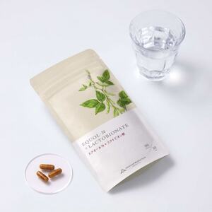 更年世代の女性をサポートする エクオールN+ラクトビオン酸【1713655】