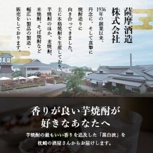 さつま白波＆さくら白波1800ml　各2本セット　B8-27【配送不可地域：離島】【1643880】