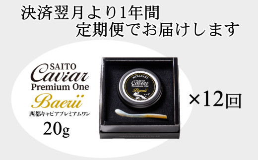  【12ヶ月定期便】SAITO CAVIAR PREMIUM ONE BAERII 20g×12ヶ月 ＜50-1＞キャビア 西都市オリジナル 