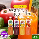 【ふるさと納税】【定期便】 12ヵ月連続 カゴメ 野菜生活100 飲み比べセット スマートPET 720ml 4種 計12本 栃木県 那須塩原市 オリジナル ベリーサラダ マンゴーサラダ アップルサラダ 野菜 果実 ミックスジュース 野菜ジュース フルーツジュース フルーツ 飲料 送料無料