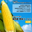 【ふるさと納税】とうもろこし 恵味ゴールド 6本「じゅんかん育ち」【十勝BISTRO下水道プロジェクト】北海道 十勝 幕別町　野菜・とうもろこし　お届け：2024年8月1日～2024年9月15日