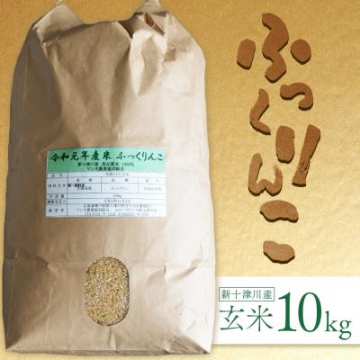 ふるさと納税 新十津川町 《先行受付》【令和7年度産】ふっくりんこ玄米 (10kg)【1101804】