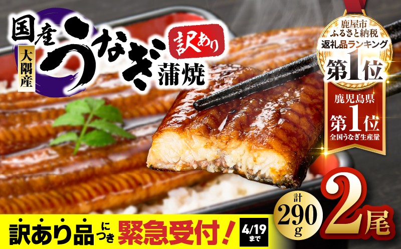 
                  【期間限定 4/19まで（賞味期限 5/24まで）】【10営業日以内に発送】【訳あり】鹿児島県大隅産うなぎ蒲焼2尾（290g）　KN110-001-MC8
                