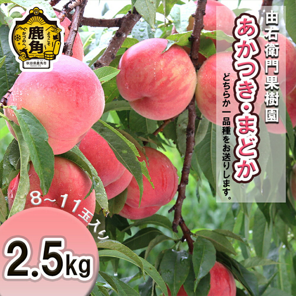 【ふるさと納税】 桃 《 先行予約 》 かづの北限の桃 「 あかつき / まどか 」 約 2.5kg ( 8～11玉入り ) 秋田県産 お盆 お見舞い 完熟 国産桃 先行予約 お歳暮 贈り物 贈答用 グルメ ギフト 故郷 秋田 あきた 鹿角市 鹿角 東北 北限 旬 送料無料 【由右衛門果樹園】