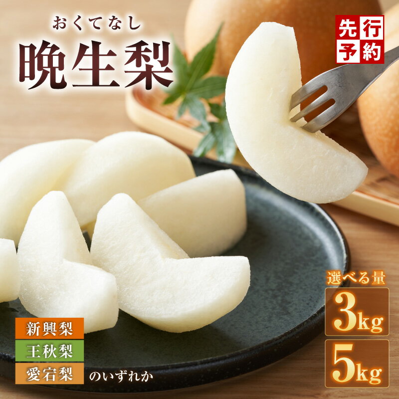 【ふるさと納税】【先行予約】2026年度産 TVで紹介 晩生梨 品種《新興・王秋・ 愛宕》【内容量選択：3kg（5～9玉）・5kg（7～13玉）】【令和8年10月中旬以降発送予定】 梨の一大産地からお届け おすすめ ランキング 兵庫県 香美町 香住 国産 果物 フルーツ なし 和梨 贈答 梨