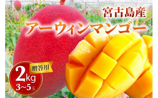 
                  【贈答用】宮古島産マンゴー2kg ＜リトルグローブ＞（LT002）
                