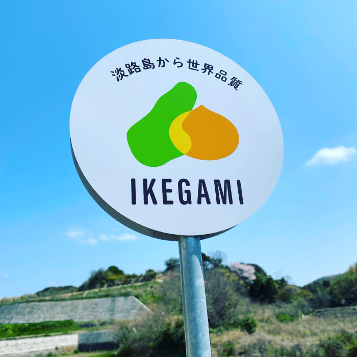 【新たまねぎ】淡路島　池上農場の「あやたけ」10kg【発送