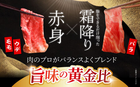 【全12回定期便】佐賀牛 切り落とし 1kg (200g×5パック) HAA082 切り落とし 国産 和牛 牛肉