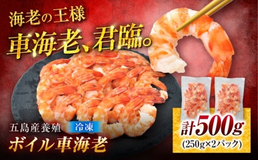 【2026年3月発送】五島特産 ボイル車海老500g（250g×2P） 五島市/拓水 五島事業場[PCU004] えび 冷凍 特産 車エビ むきえび 海鮮 海産物 自然解凍 ムキエビエビ 尾付き むきえび
