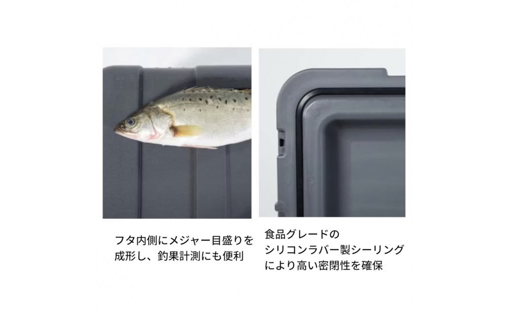 ICEMASTER(アイスマスター)クーラーボックス 50L