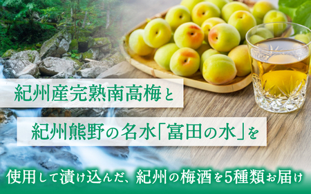 梅酒 紀州の梅酒 飲み比べ5本セット（白・赤・蜂蜜・黒糖・樽）300ml×5本 【mtgn109A】