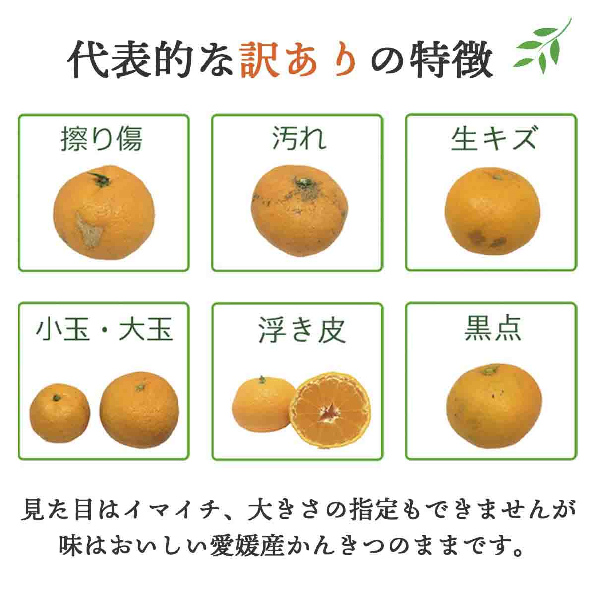 【先行受付】 【ご家庭用】せとか 4kg みかん 愛媛県 八幡浜産市 西宇和地区 柑橘の女王【C25-298】【1712733】 YWTAP239