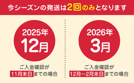 【先行予約】【2025年12月より順次発送】【訳あり】いちご 食べ比べ セット 4品種 計500g ( 250g × 2P ) 農園直送 産地直送 熊本県産 山都町産 イチゴ 苺 ストロベリー フルー