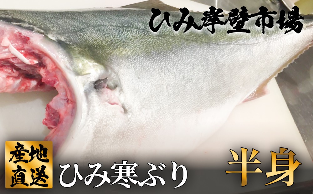 
            【先行予約】【期間限定】ひみ寒ぶり半身  〈釣屋魚問屋直営 ひみ岸壁市場 産地直送〉
          