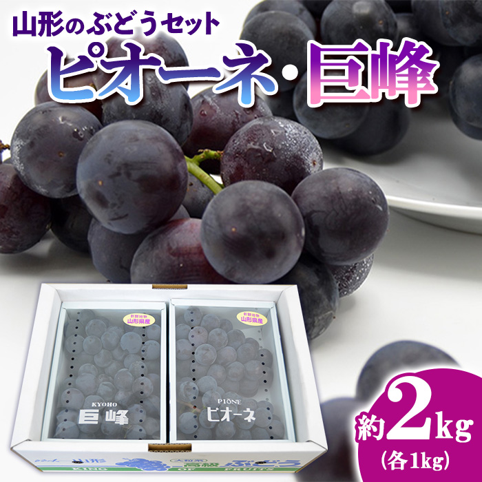 山形のぶどうセット 秀品 約2kg(ピオーネ約1kg2房前後・巨峰約1kg2房前後)[9月中旬～10月中旬お届け]【令和8年産先行予約】FS24-572