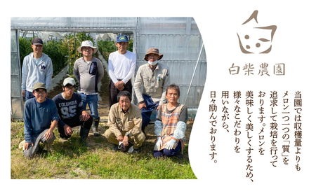 ≪先行予約≫温室マスクメロン 2玉【訳あり】めろん メロン マスクメロン 訳あり わけあり  果物 フルーツ デザート 旬 旬の果物 高糖度 糖度 1万円 10000円 愛知県 豊橋市