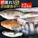 【ふるさと納税】【五島列島・直送】朝獲れ！高級鮮魚セット2kg 魚 五島市 / 鯛福丸水産 [PDP002]